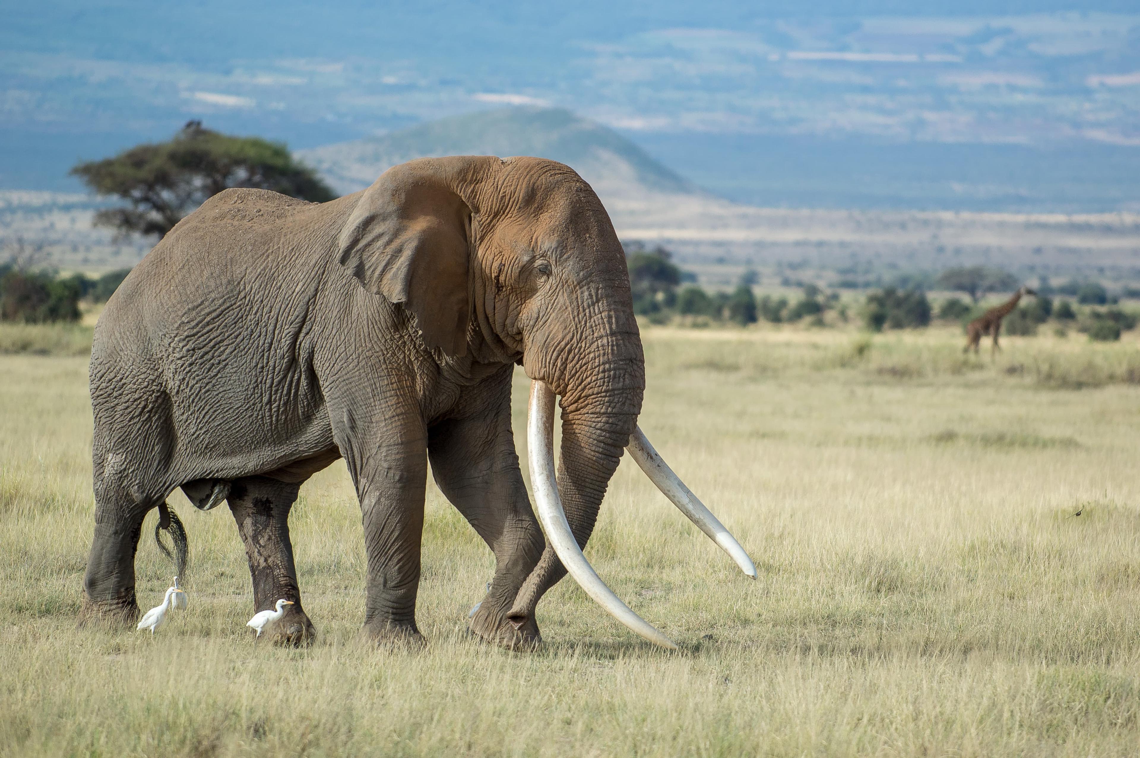 Shetani Lava Flows landscape