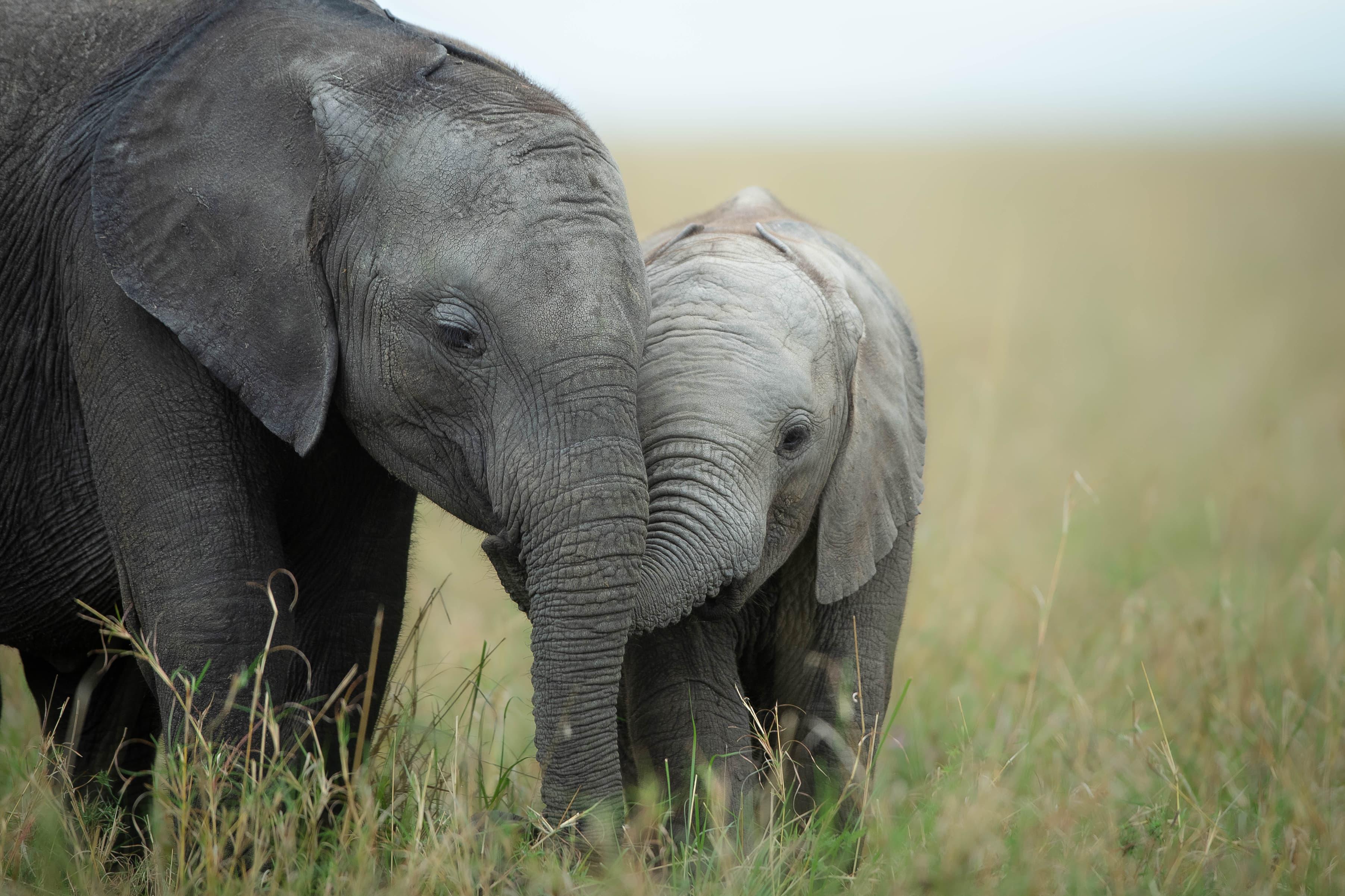 Image of Taita Hills