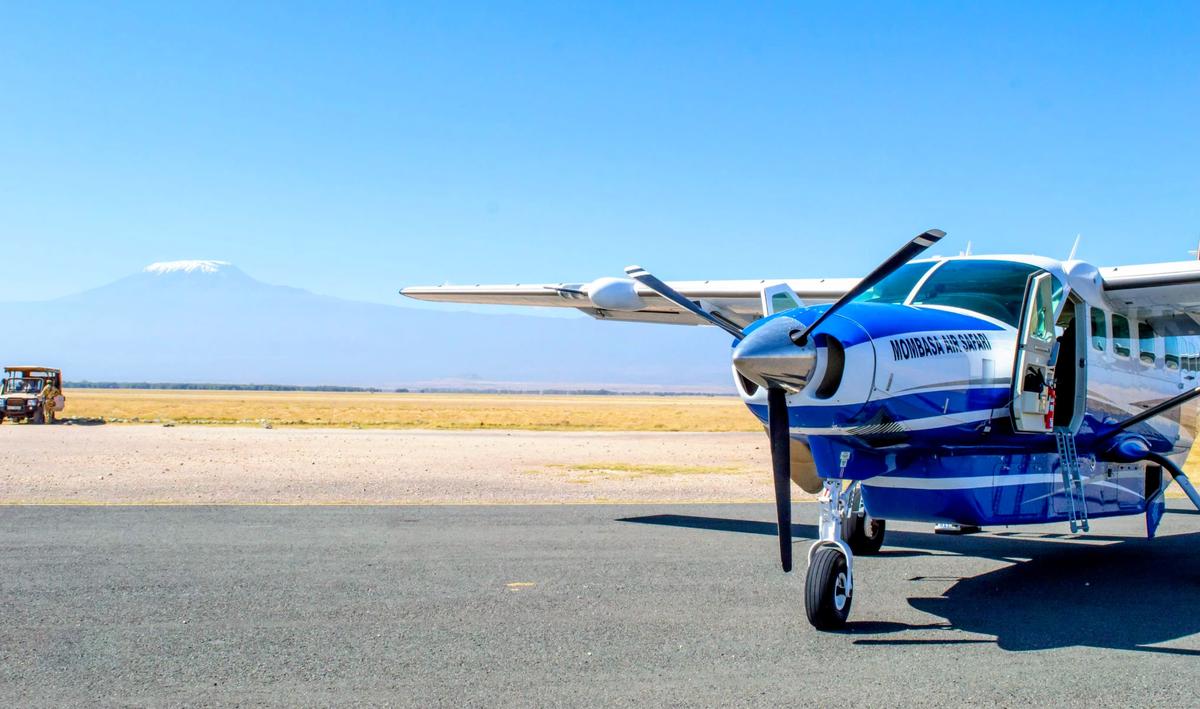 Elephants with Kilimanjaro