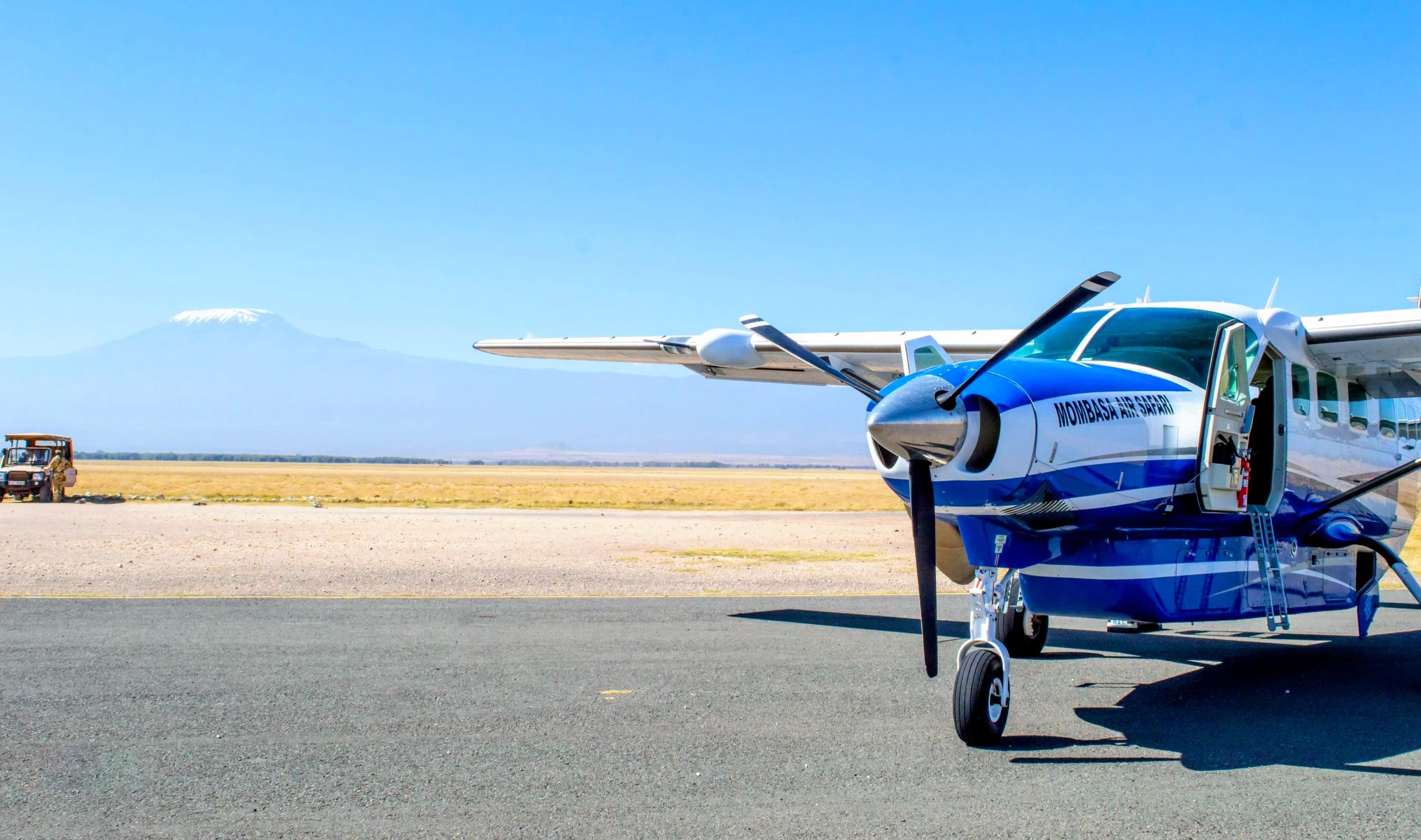 Elephants with Kilimanjaro